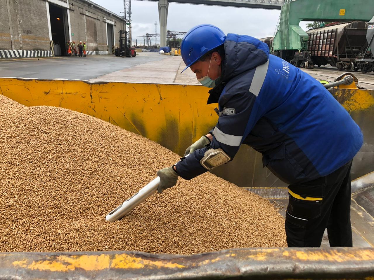 Союз участников пеллетного рынка 2021